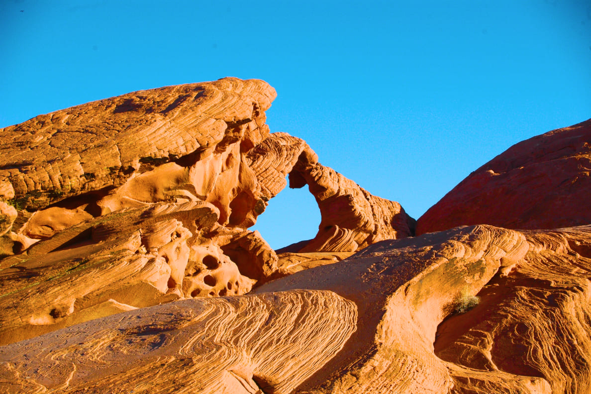 Mariah The Scientist's Hilarious Reaction to Latto's Pregnancy ...