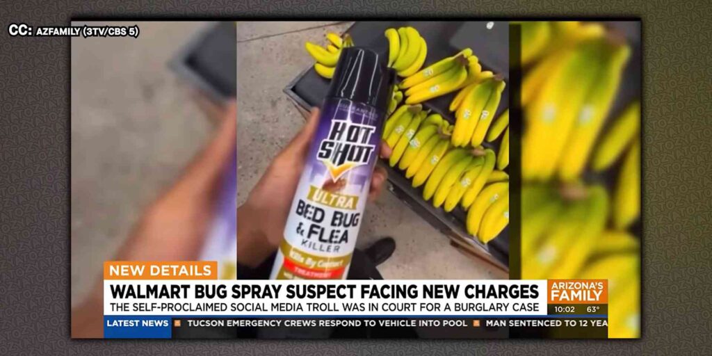 TikToker Charles Smith Aka Wolfie Kleti Pleads Guilty Poisoning Food TikToker Charles Smith Aka Wolfie Kleti Pleads Guilty Poisoning Food